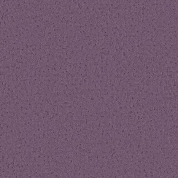 Autumn Harvest 秋の収穫