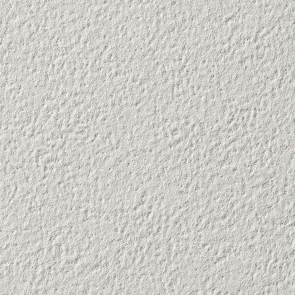 Winter Forest 冬の森林