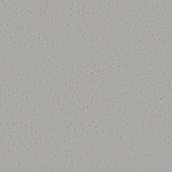 Winter Forest 冬の森林