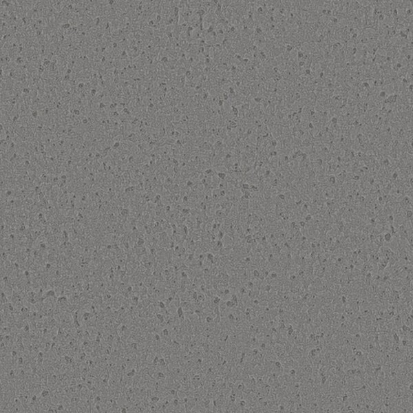 Winter Forest 冬の森林