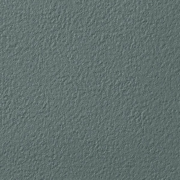 Winter Forest 冬の森林