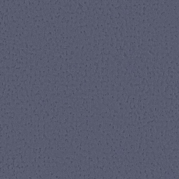 Winter Forest 冬の森林