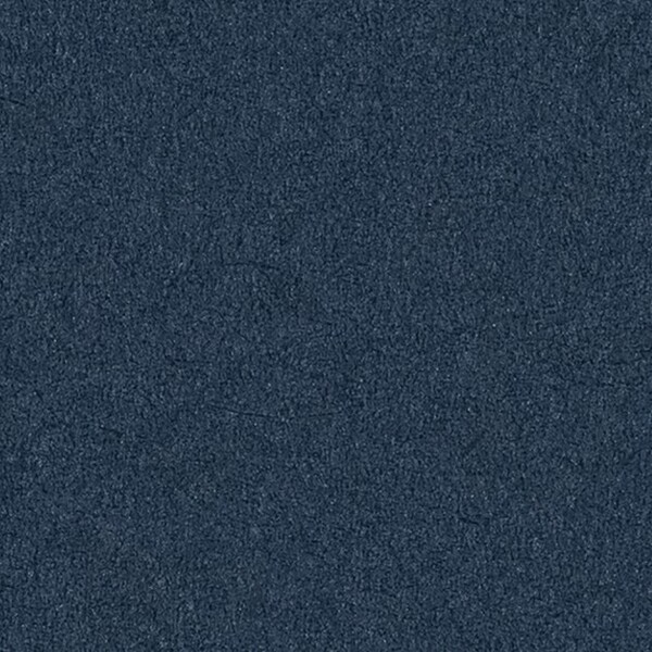 カラーセレクション/パール入りシックカラー