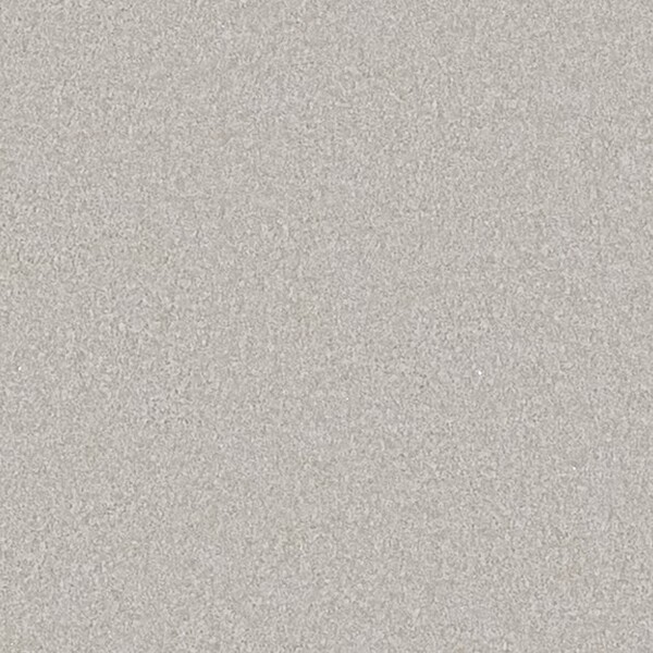 カラーセレクション/シルバーラメ入り