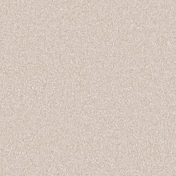 カラーセレクション/シルバーラメ入り