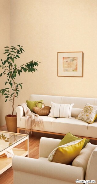 カラーセレクション/スタッコ調ナチュラルカラー