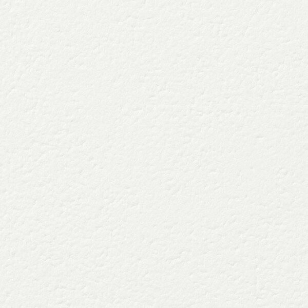 ウレタンコート壁紙/ベースカラー