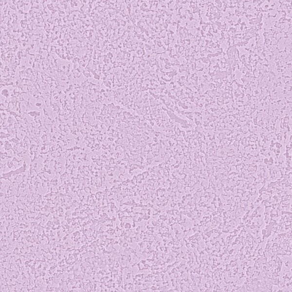 吸放湿壁紙/ビビットカラー