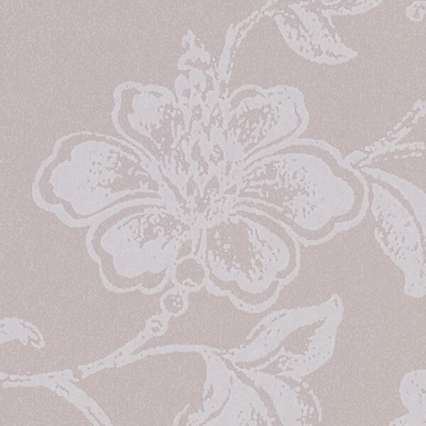 パターン/フェミニン