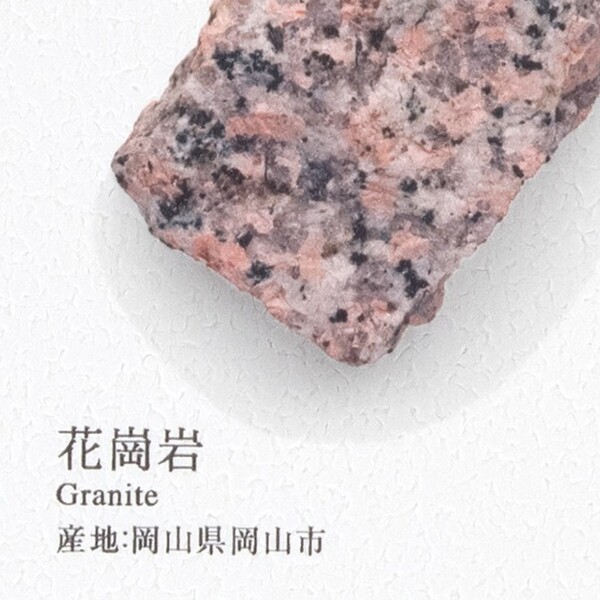 国立科学博物館×SANGETSU 