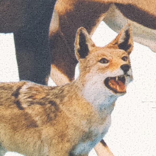 国立科学博物館×SANGETSU