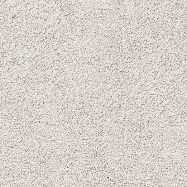 ベージュ コンクリート・モルタル 防かび 抗菌 表面強化 撥水 サンゲツ SP2563 