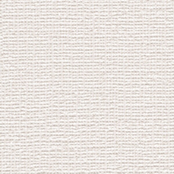 ホワイト 織物調 防かび 抗菌 表面強化 撥水 サンゲツ SP2572 旧品番SP9746