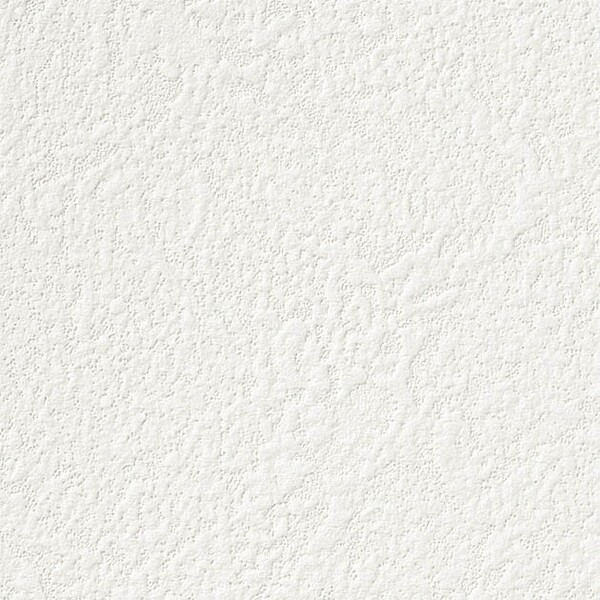 ホワイト 塗り壁調 防かび 抗菌 表面強化 撥水 サンゲツ SP2573 旧品番SP9743