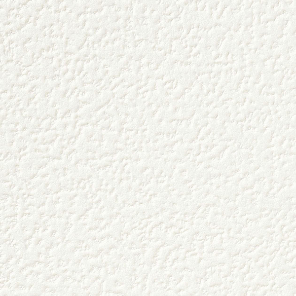 ホワイト 塗り壁調 防かび 抗菌 撥水 サンゲツ SP2811