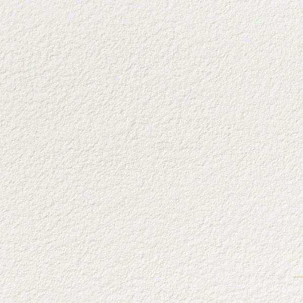 シャドーホワイト 塗り壁調 防かび 抗菌 表面強化 撥水 サンゲツ SP2827