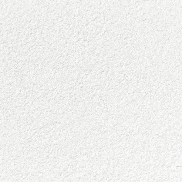 ホワイト 塗り壁調 防かび 抗菌 表面強化 撥水 サンゲツ SP9740 旧品番SP2826