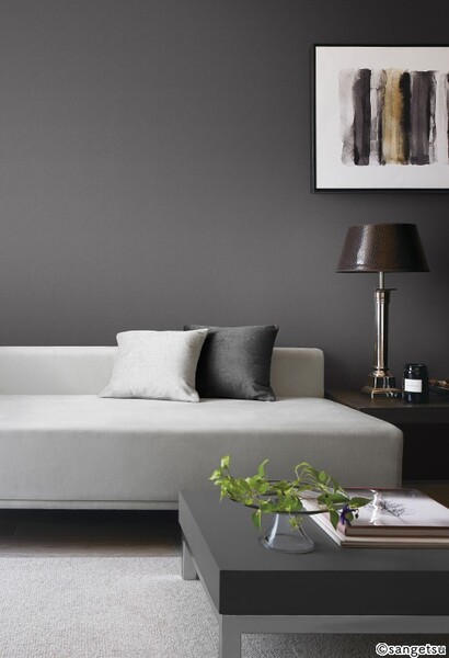 ブラック 塗り壁調 防かび 抗菌 撥水 サンゲツ SP9798