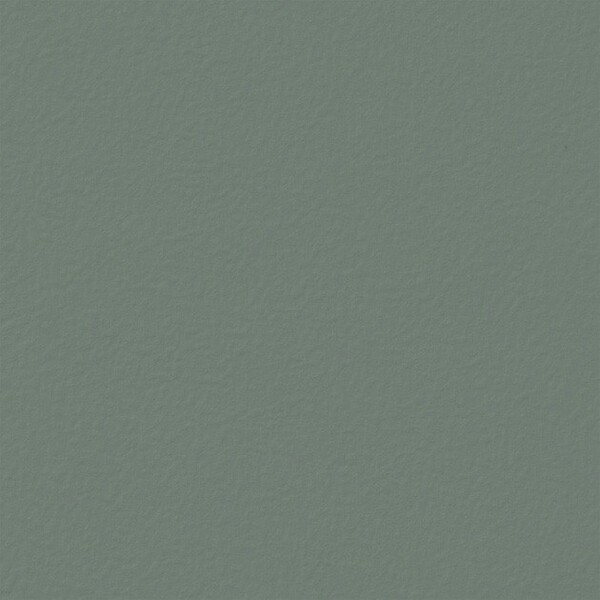 Texture & Color
