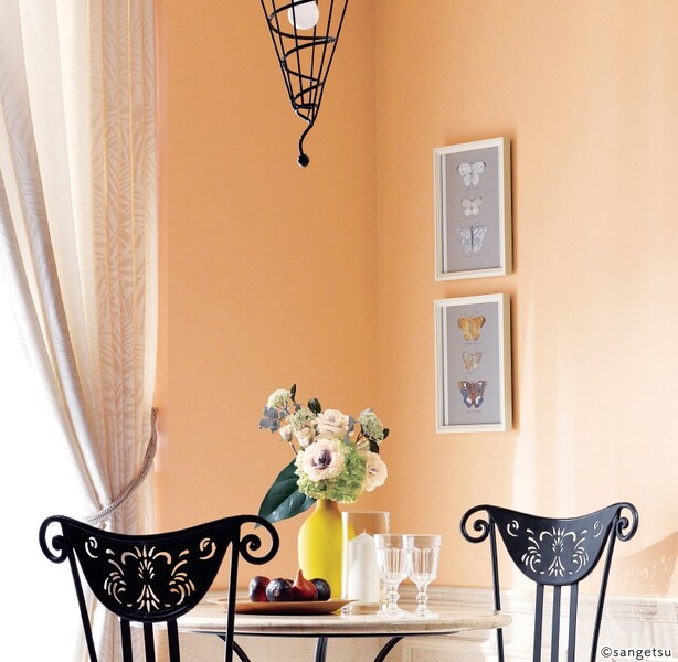 Texture & Color