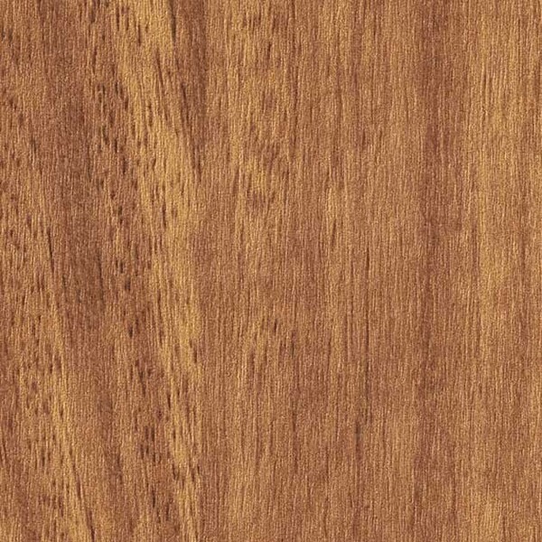 PROGRESS WOOD/ベーシックカラー