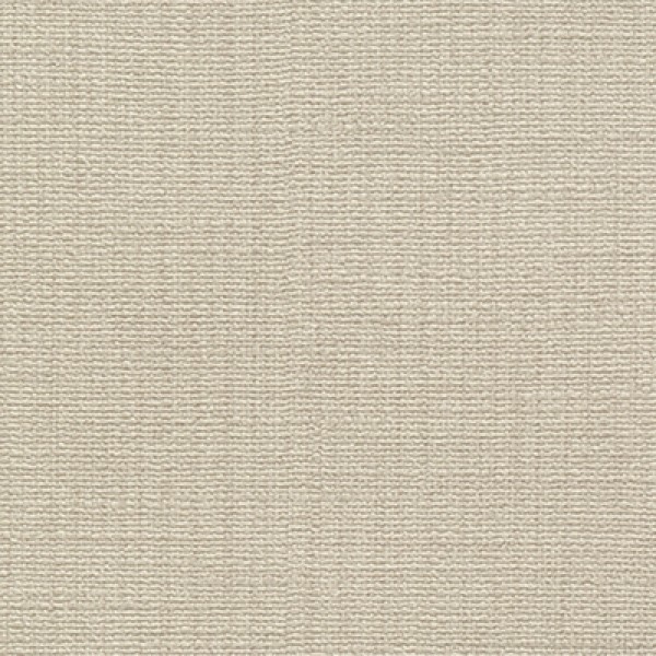 Phiten(ファイテン) アクアチタン壁紙 ベースカラー