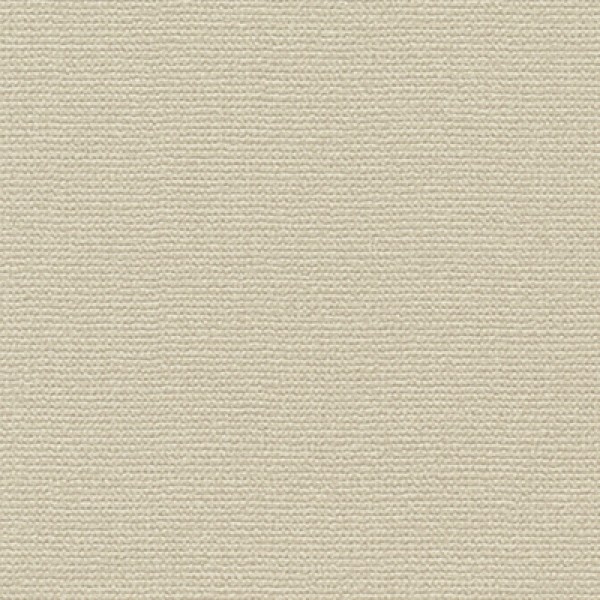 Phiten(ファイテン) アクアチタン壁紙 ベースカラー