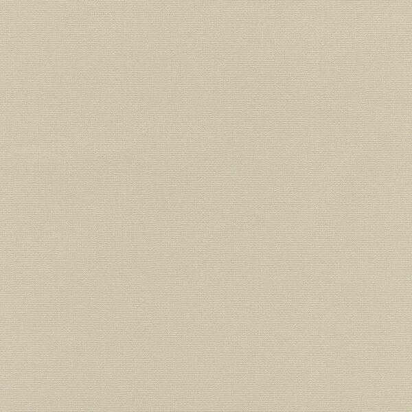 Phiten(ファイテン) アクアチタン壁紙 ベースカラー