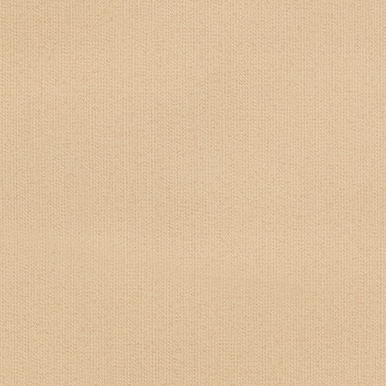 Phiten(ファイテン) アクアチタン壁紙 アースカラー