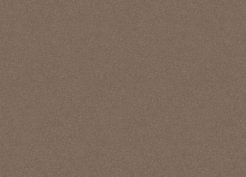 ライトブラウン ノンワックスコーティング⁺抗ウイルス＋抗菌₊耐動荷重＋衝撃吸収＋土足OK 東リ TS2333