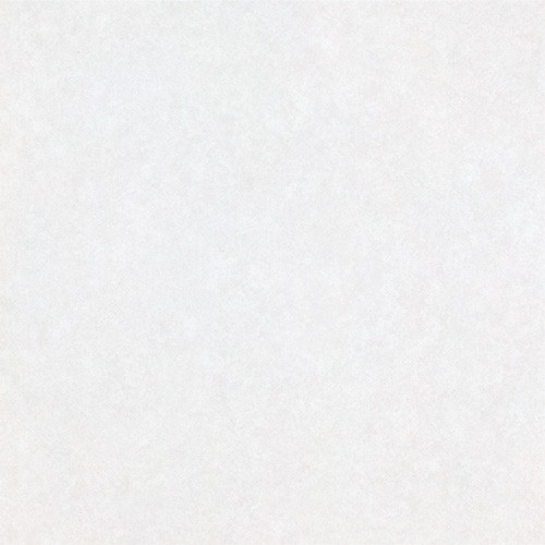 ルースレイタイル 40NW-EX クラウド