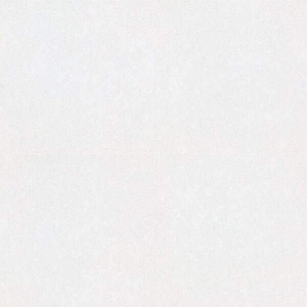 ルースレイタイル 40NW-EX クラウド