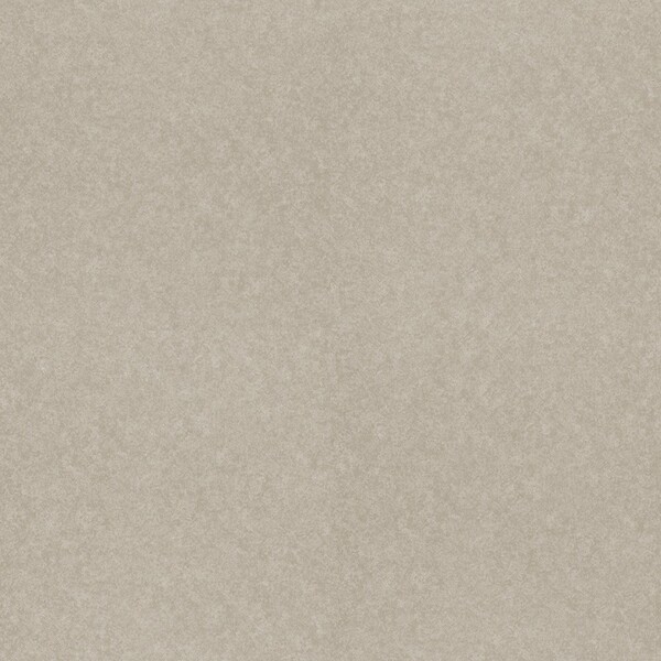 ルースレイタイル 40NW-EX クラウド