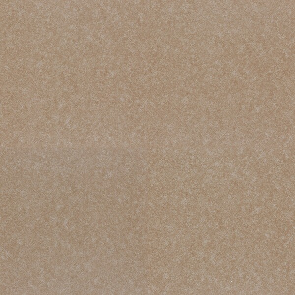 ルースレイタイル 40NW-EX クラウド