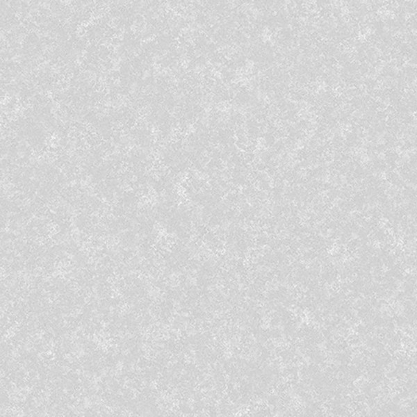 ルースレイタイル 40NW-EX クラウド