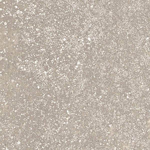 ルースレイタイル 50NW-EX ホワイトサッビア