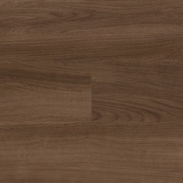 ルースレイマスターNW-EX シャイニングオーク