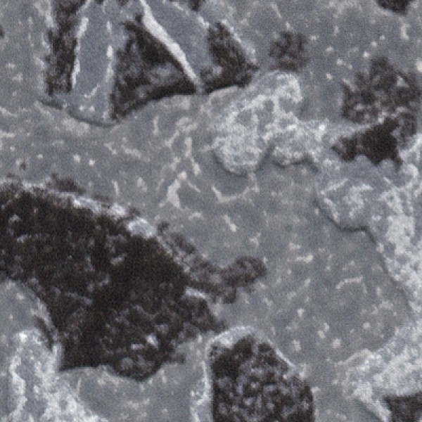 ニュアンスカラーコンクリートデザイン壁紙