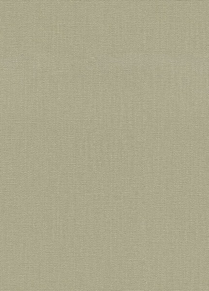 織物/落ち着きカラー