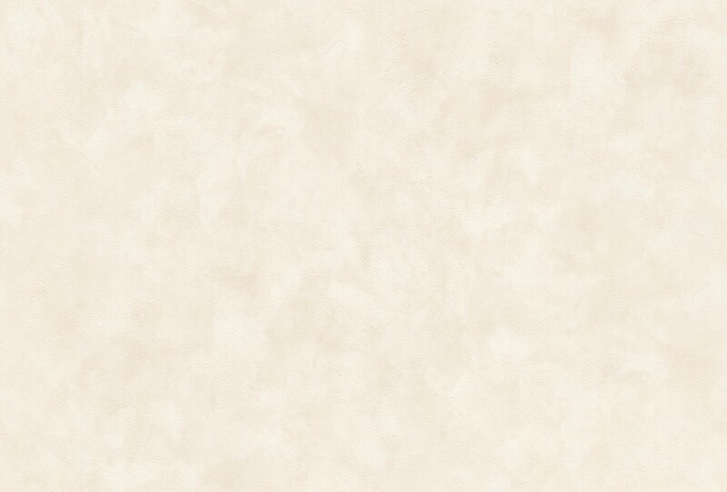 汚れ防止+表面強化壁紙〔ペット対応〕