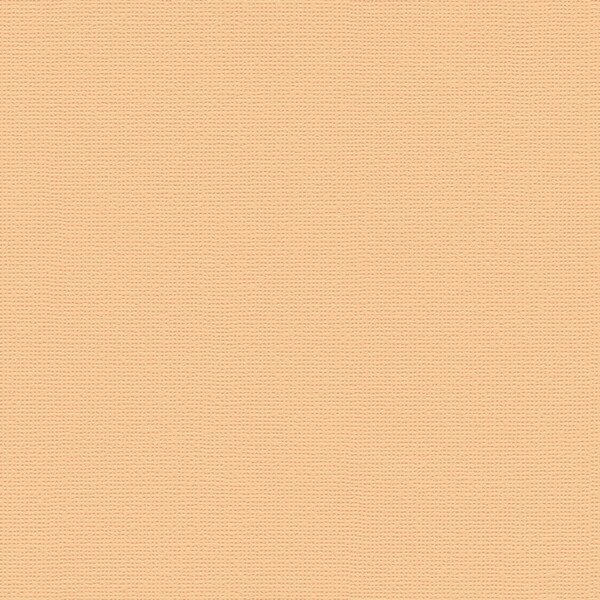 酵素パワー消臭壁紙