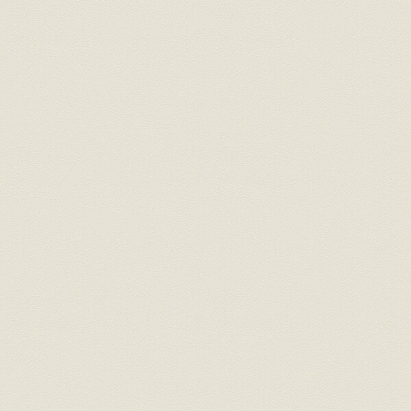 生のり付き壁紙 ライトグレー 塗り壁調 防かび 東リ VS1031 旧品番VS9008