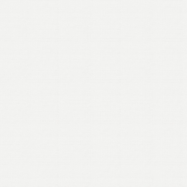 生のり付き壁紙 ライトアイボリー 織物調 表面強化 防かび 東リ VS1043 旧品番VS9051