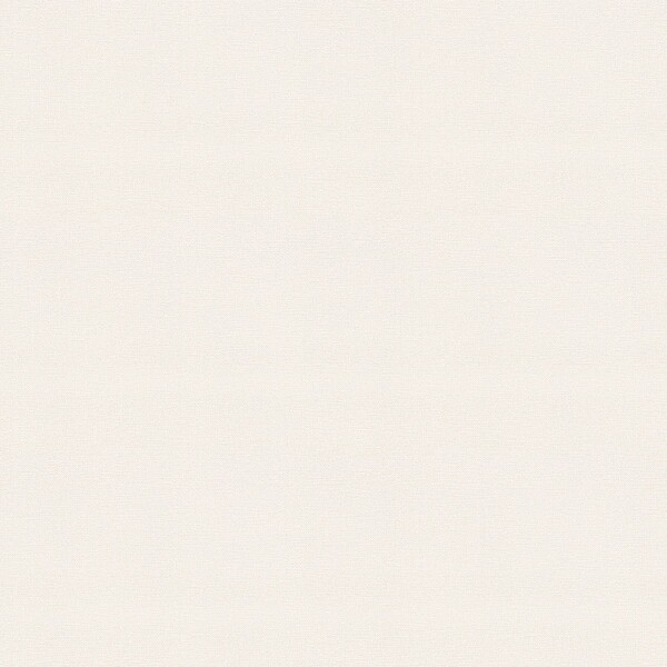 生のり付き壁紙 アイボリー 織物調 防かび 東リ VS1045 旧品番VS9013
