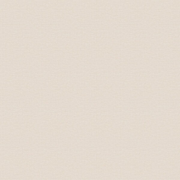 生のり付き壁紙 ベージュ 織物調 防かび 抗菌 撥水 東リ VS1055