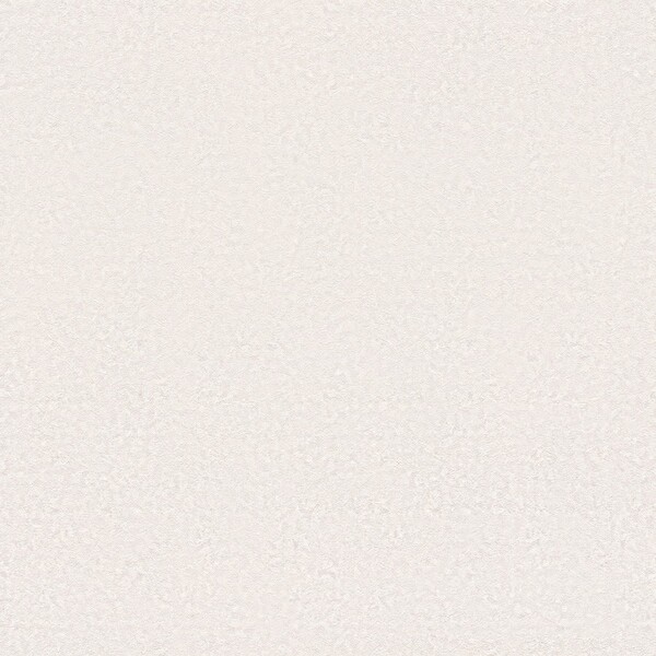 生のり付き壁紙 アイボリー 塗り壁調 防かび 東リ VS1061 旧品番VS9063