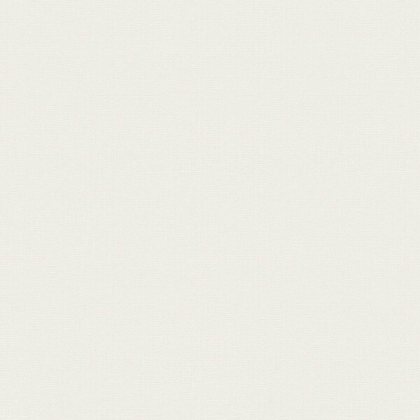 生のり付き壁紙 ホワイト 織物調 防かび 抗菌 表面強化 撥水 東リ VS2013 旧品番VS1013