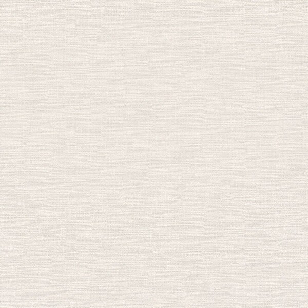 生のり付き壁紙 アイボリー 織物調 防かび 東リ VS2017 旧品番VS1020