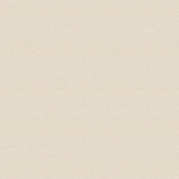 生のり付き壁紙 ベージュ 織物調 防かび 抗菌 撥水 東リ VS2048 旧品番VS1054