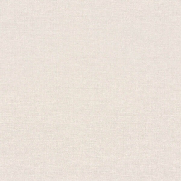 生のり付き壁紙 ベージュ 織物調 防かび 東リ VS2049 旧品番VS1057